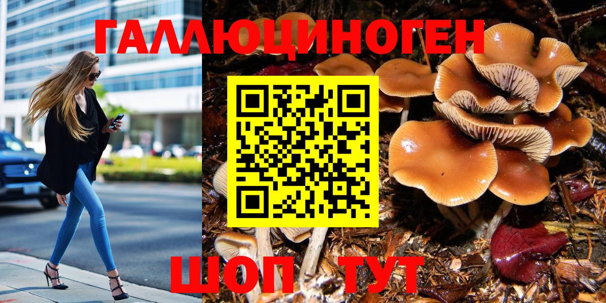 Галлюциногенные грибы мицелий Саров