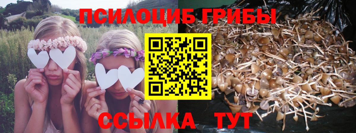 Псилоцибиновые грибы ЛСД  Галлюциногенные грибы прущие грибы  Саров  Вход с VPN 